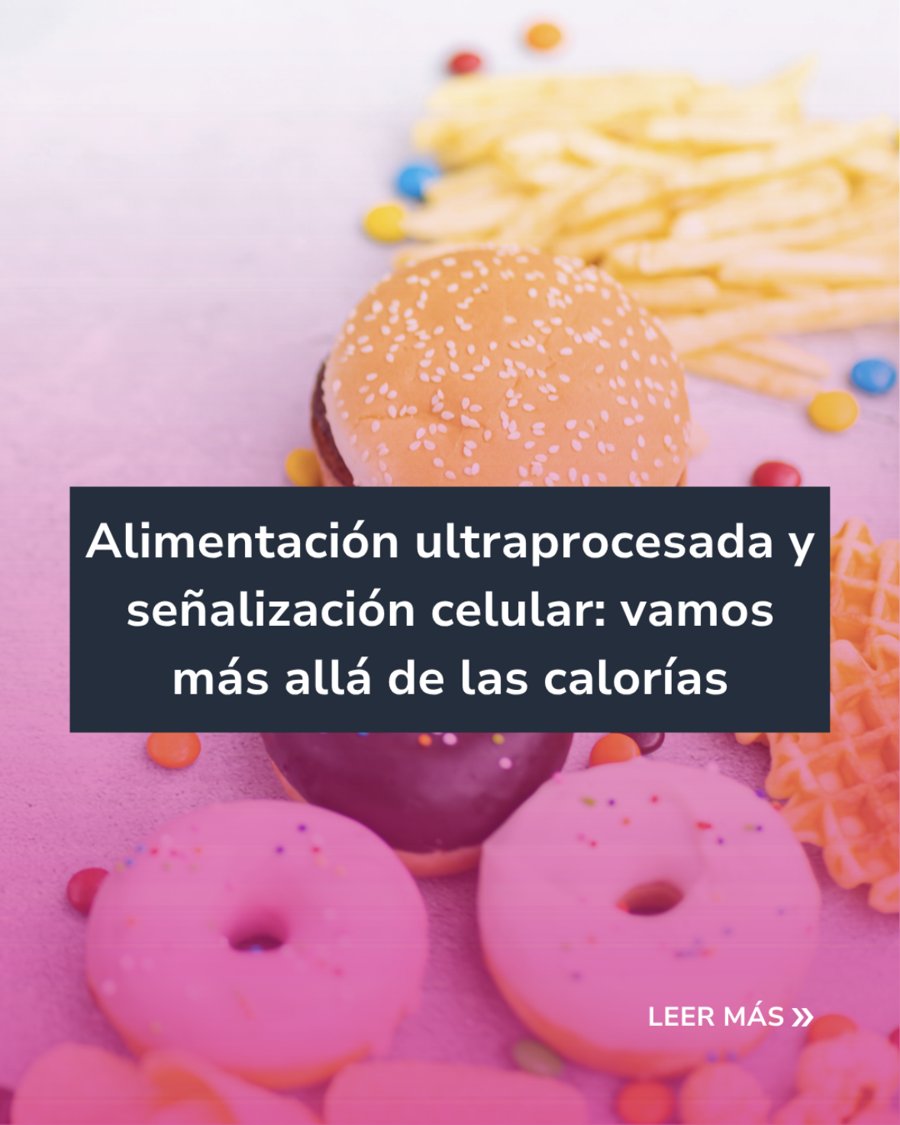 Ultraprocesados y señalización celular