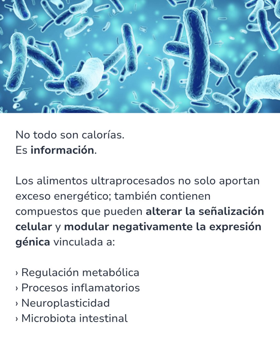 No todo son calorías: es información
